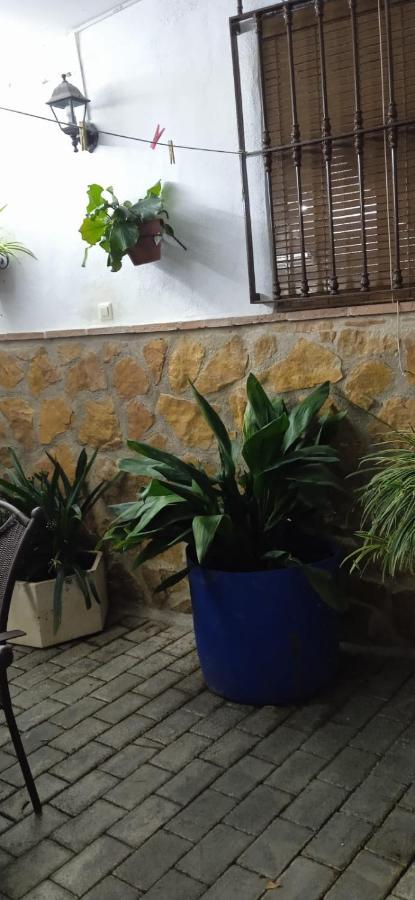 Casa Cueva El Almendro Pensionat Pegalajar Exteriör bild