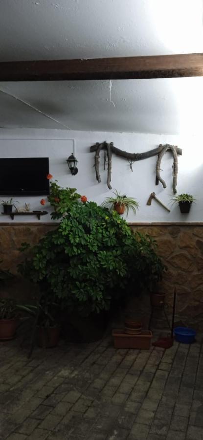 Casa Cueva El Almendro Pensionat Pegalajar Exteriör bild