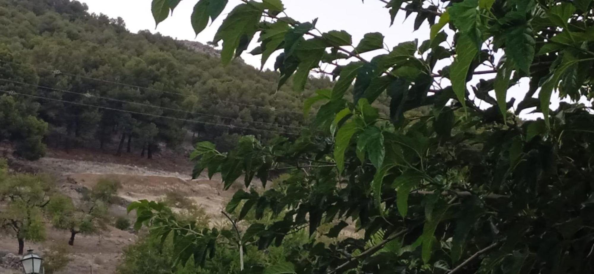 Casa Cueva El Almendro Pensionat Pegalajar Exteriör bild